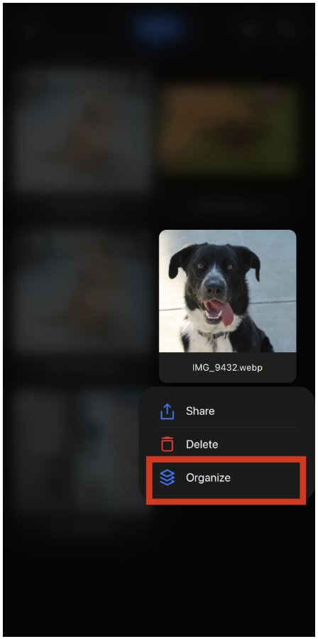 Screenshot 2025-04-14 at 10.20.18 PM.png